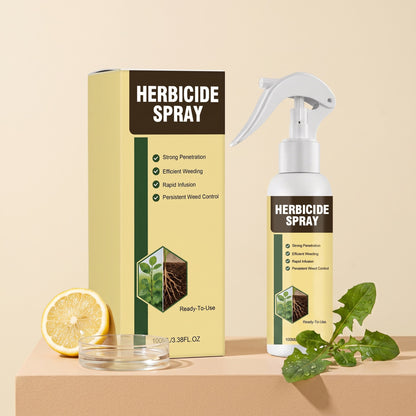 🔥Hot Sale 50% OFF 🎁 - Fast-Acting Natural Weed & Grass Killer Spray