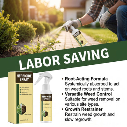 🔥Hot Sale 50% OFF 🎁 - Fast-Acting Natural Weed & Grass Killer Spray